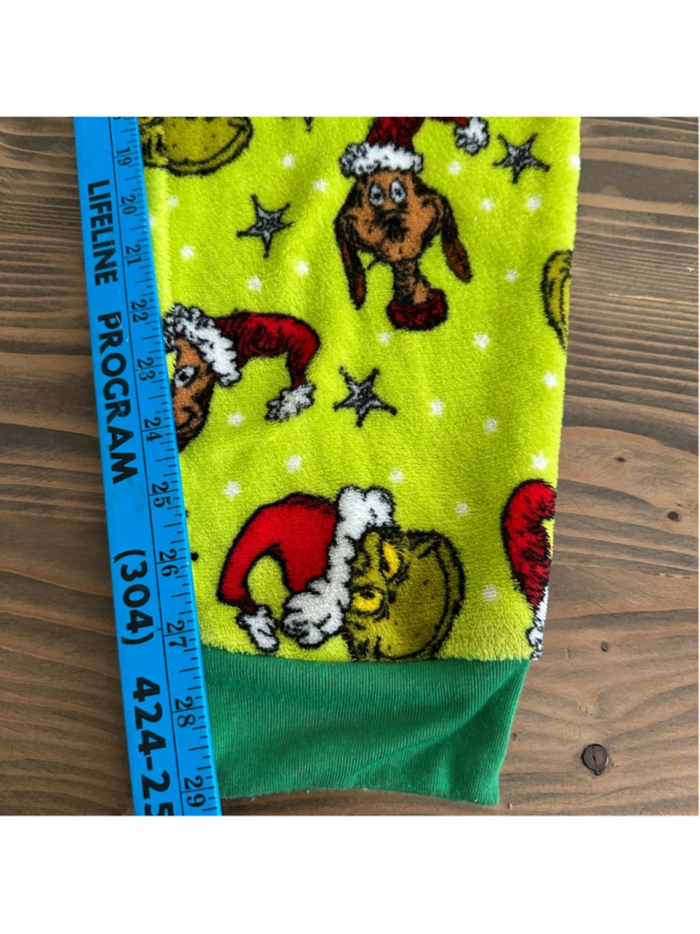 Dr. Suess celebrate holiday